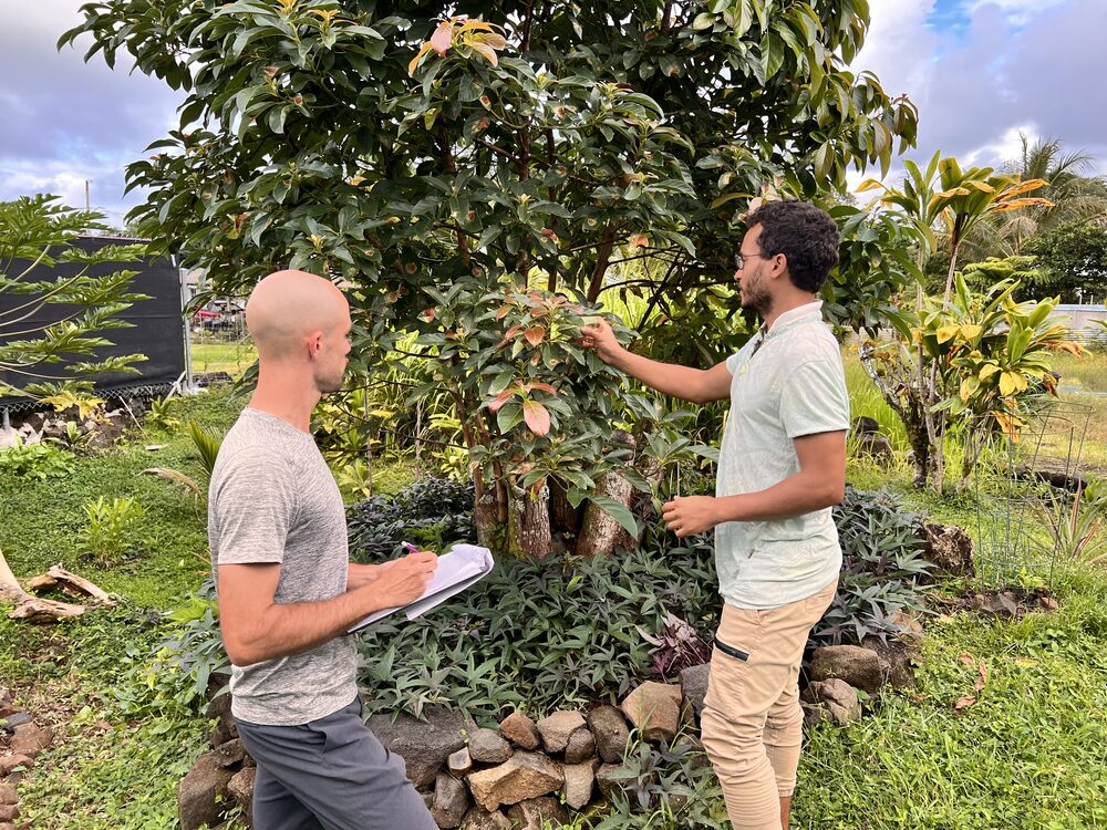 Erik and client examining fruit trees
