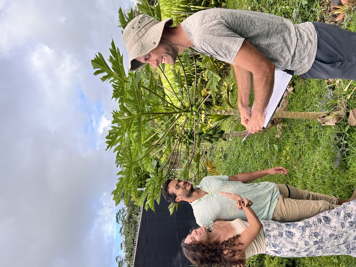 Erik consulting with clients