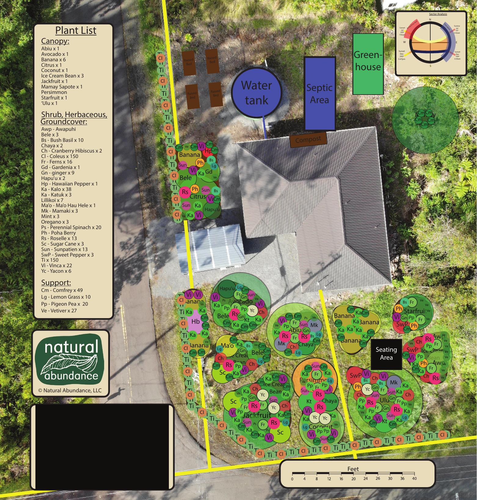 Backyard Dreamscape Design