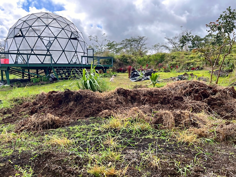 Center bed — raw mulch mounds with young transplants by the dome