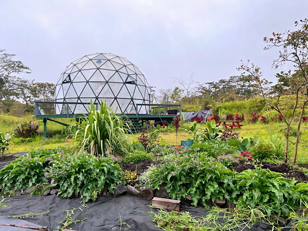 Center bed — flowers and edibles filling in around the dome