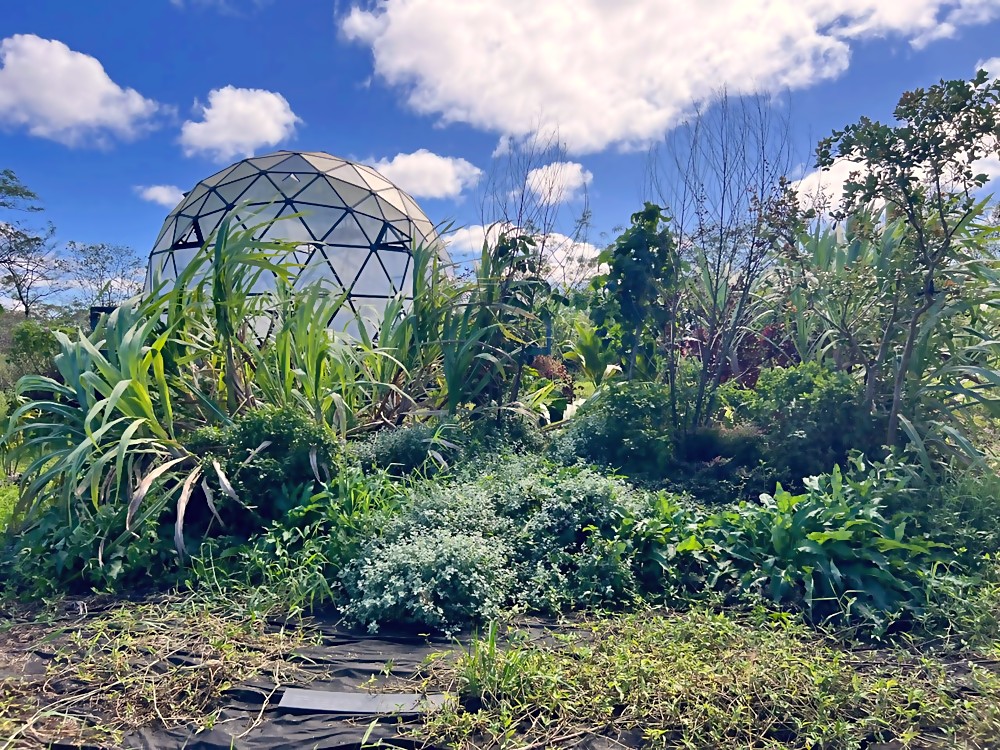 Center bed — dense multi-layered garden nearly obscuring the dome