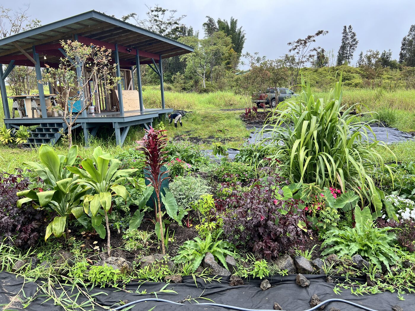 Mountain View Garden