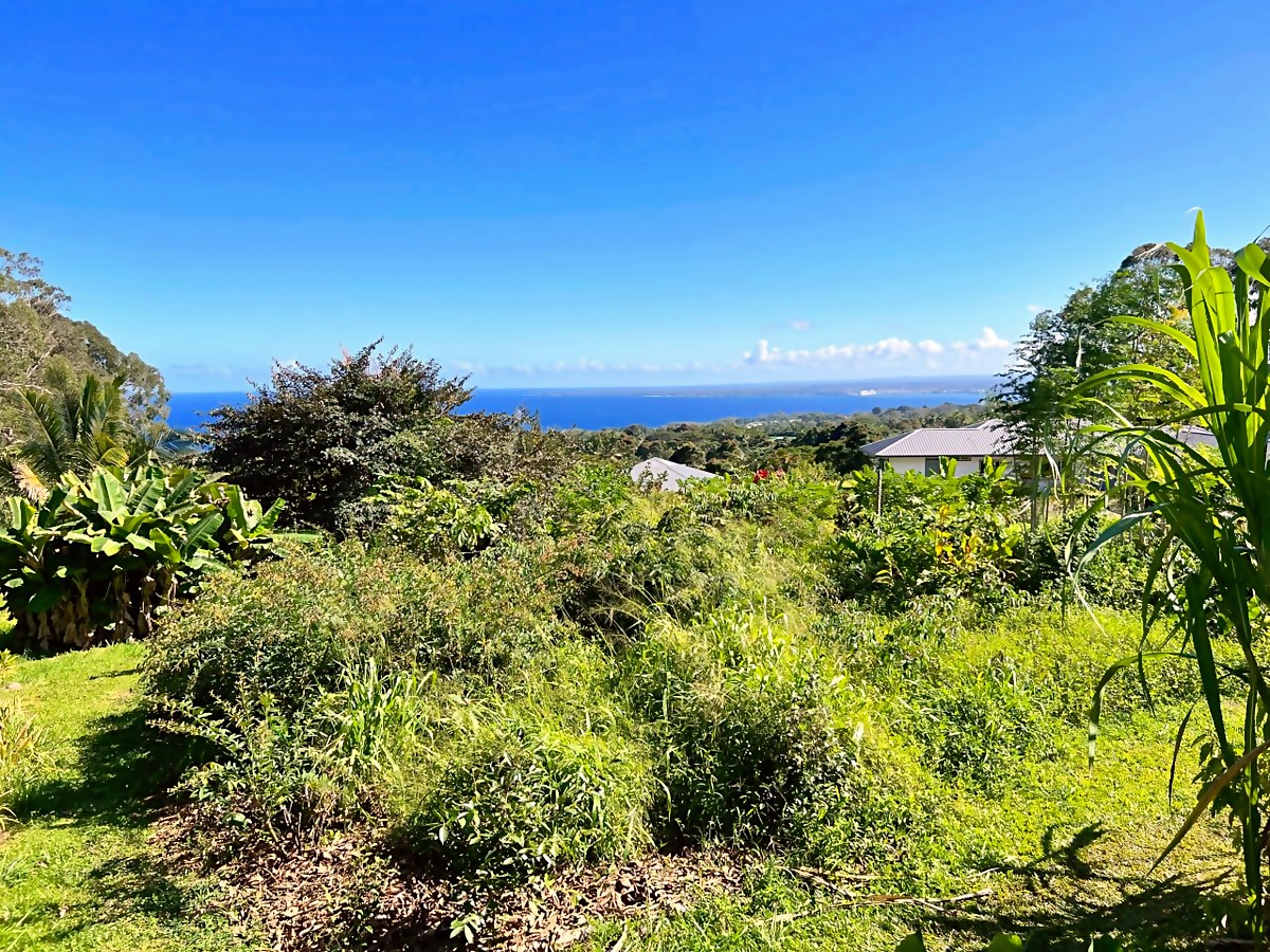 Bunkhouse area before — overgrown hillside